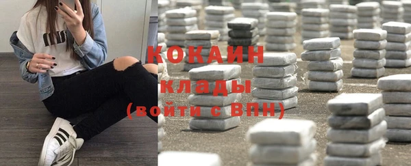 ГАЛЛЮЦИНОГЕННЫЕ ГРИБЫ Алзамай