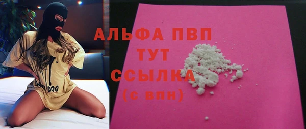 СК Алексин
