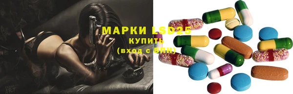 ГАЛЛЮЦИНОГЕННЫЕ ГРИБЫ Алзамай