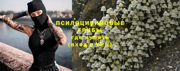 СК Алексин