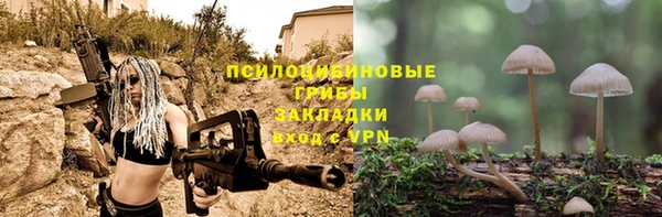 прущие крисы Абинск
