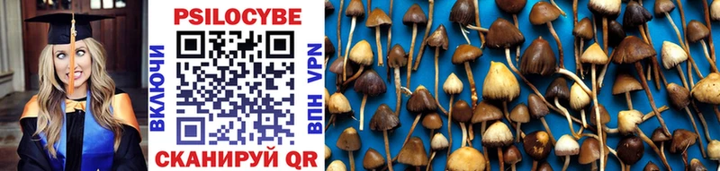 Галлюциногенные грибы MAGIC MUSHROOMS  дарнет шоп  Сурск 